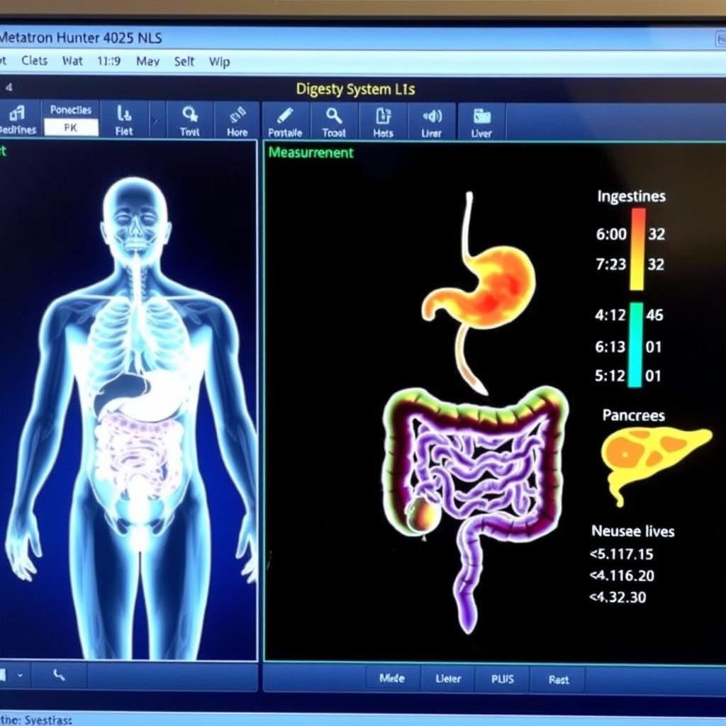 Digestive system analysis from Metatron Hunter 4025 NLS