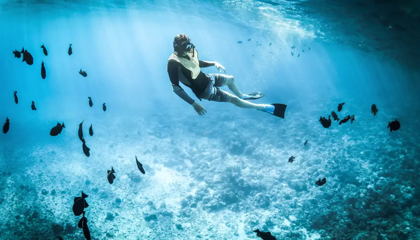 Scuba diving in a cenote