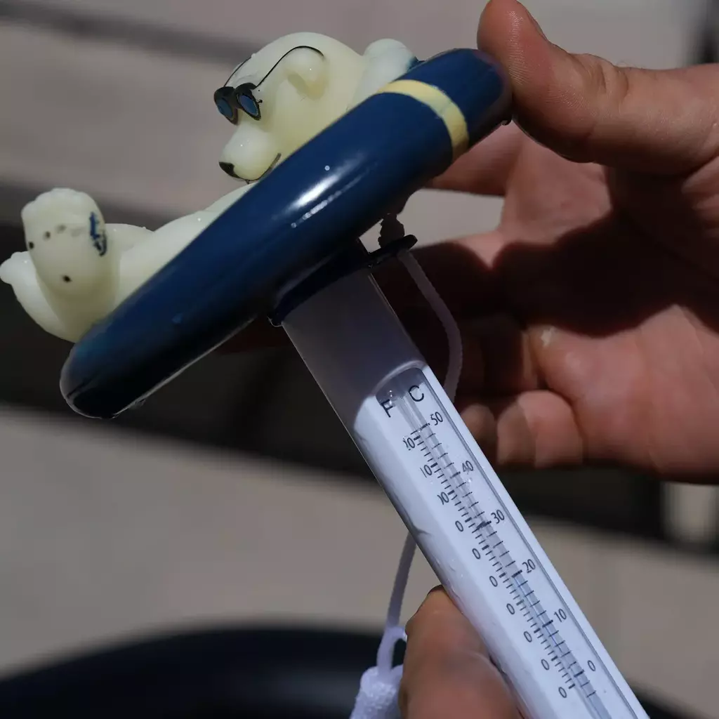 Titan Polar Bear Thermometer f