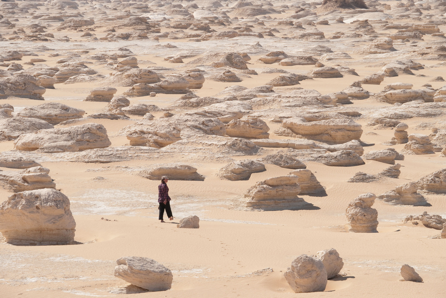 white desert egypt