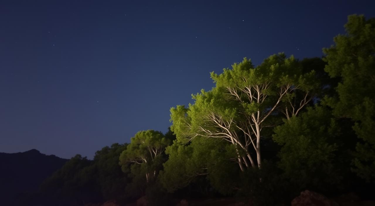 parque estadual do desengano astroturismo