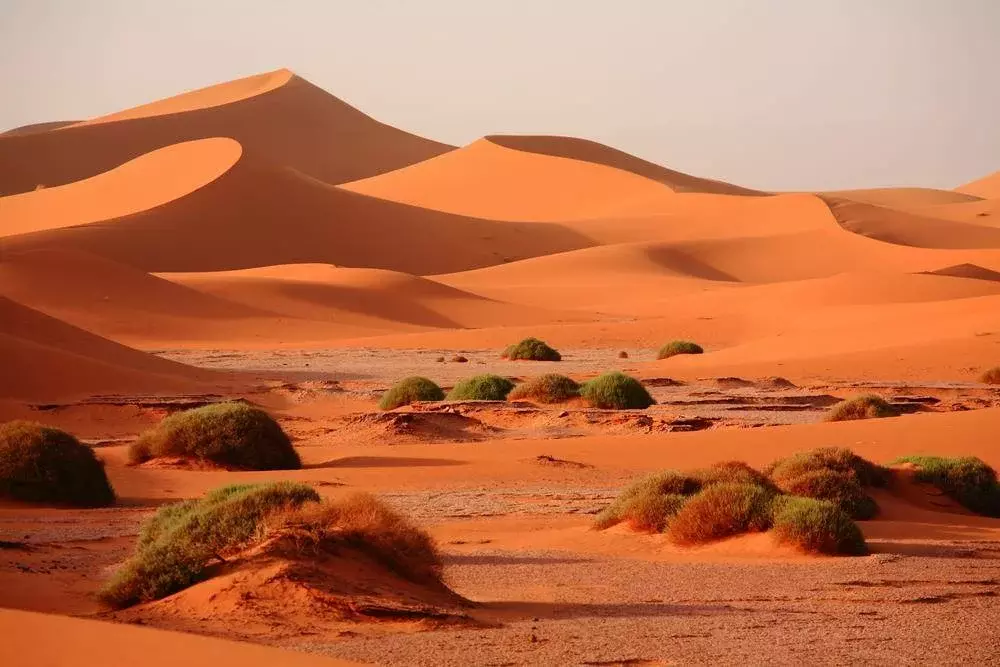 Morocco Desert