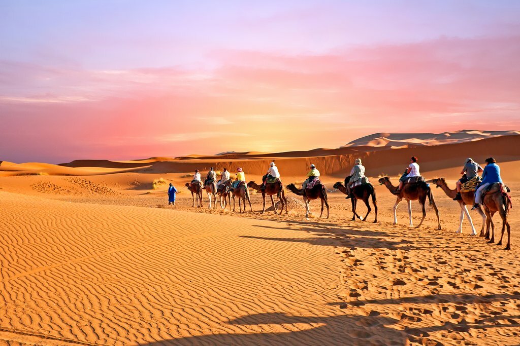 Camel Trekking