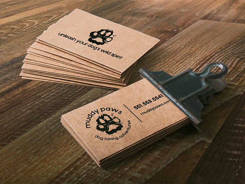 Pet Sitting Business Cards - Custom Print