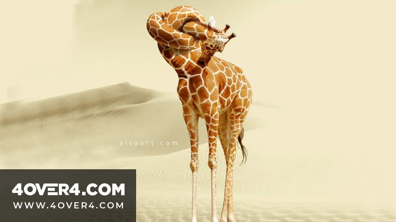 20 Photo Manipulation Tutorials for Photoshop