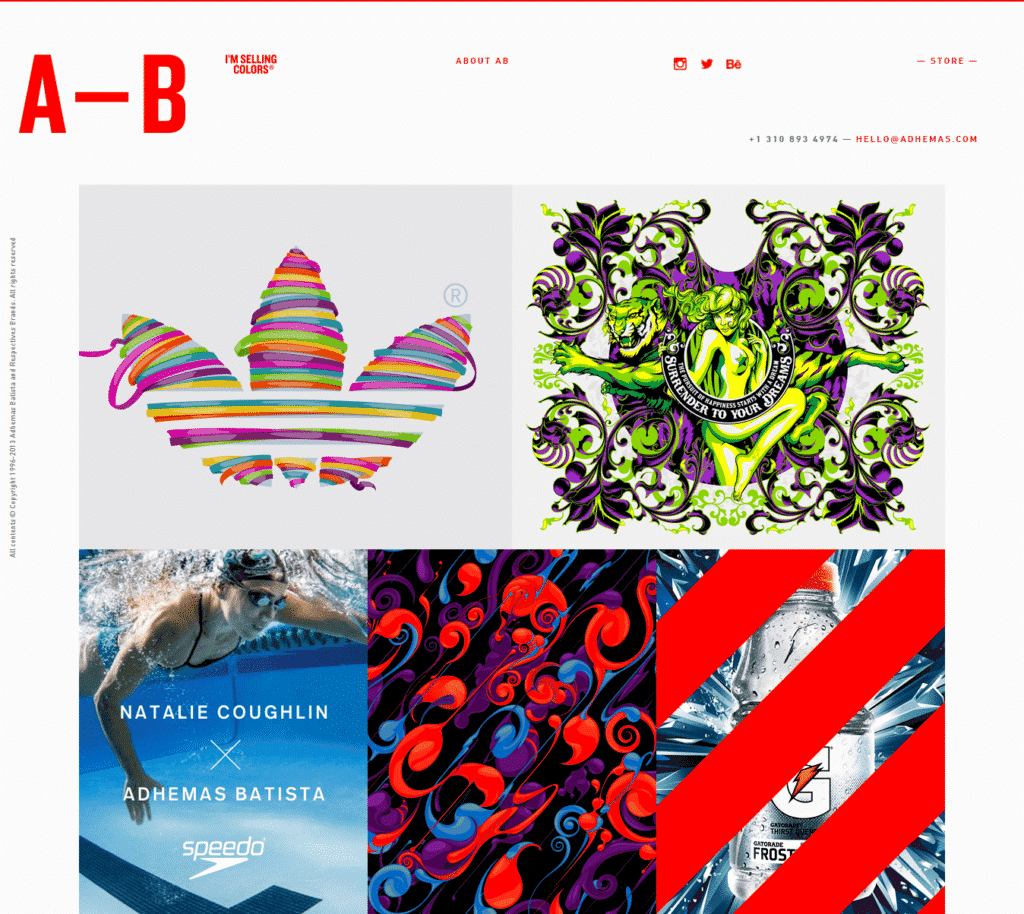 Graphic Design Portfolio Examples