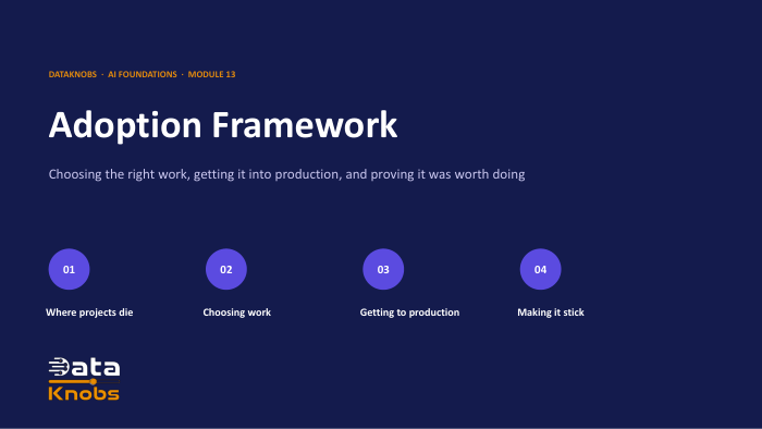 13 ADOPTION FRAMEWORK 1