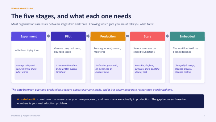 13 ADOPTION FRAMEWORK 4