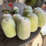 Kirklao Profile Picture