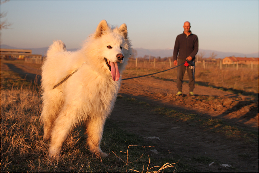 Let's Adopt Bulgaria, Noah