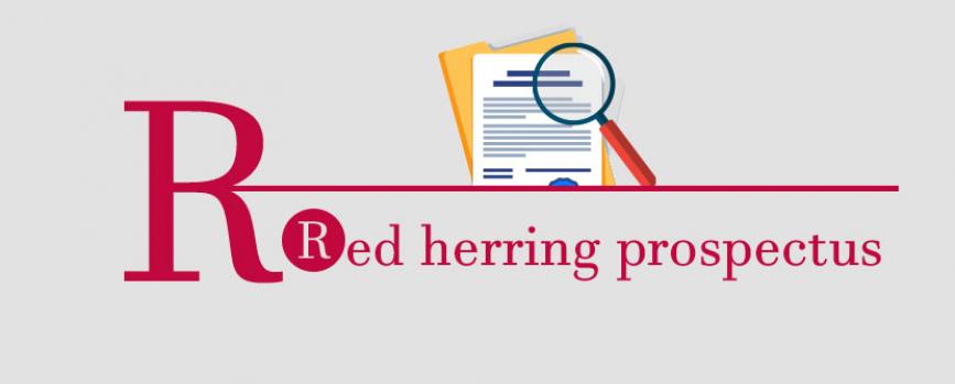 Red Herring Prospectus