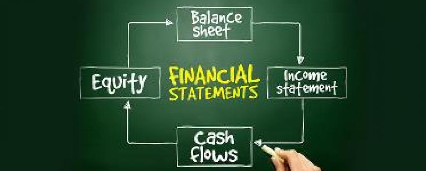 Do You Look at Red Flags While Studying the Financial Statements?