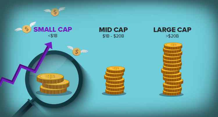 Top 5 gainers and losers in the Midcap and Smallcap segments during this week!