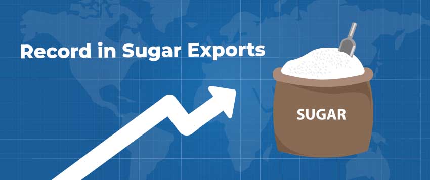 Sugar Stocks Shine on Record Sugar Exports