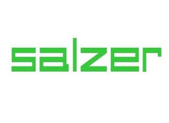 Top Trending stock: Salzer Electronics Limited