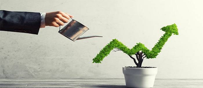 Repo rate hike: Kotak Mahindra Bank increases interest rates on deposits