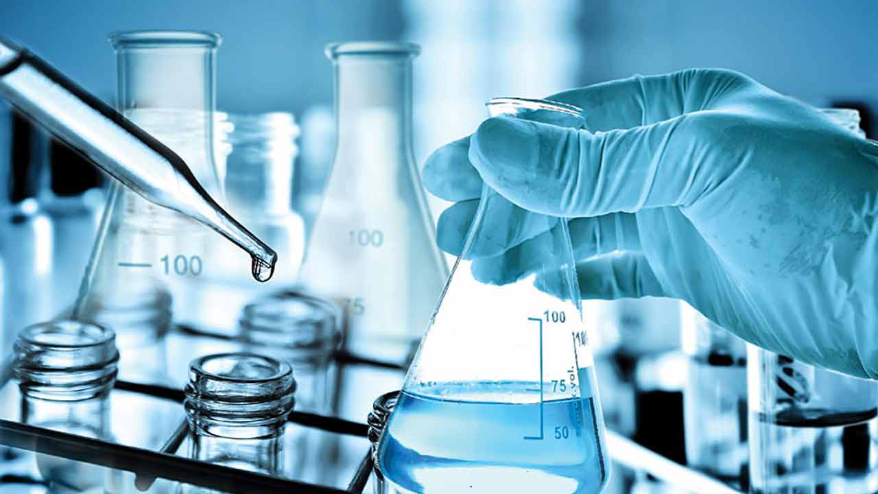 research report on chemical sector