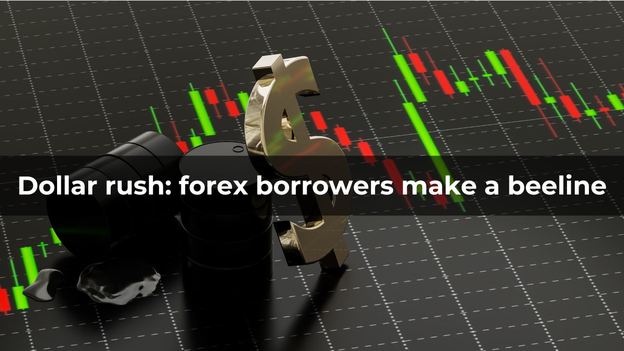 Dollar rush; as forex borrowers make a beeline for dollars