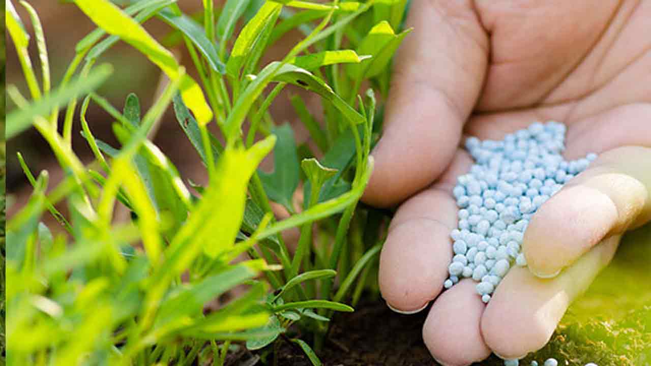 Fertiliser Sector: Government policies aiding growth in the sector