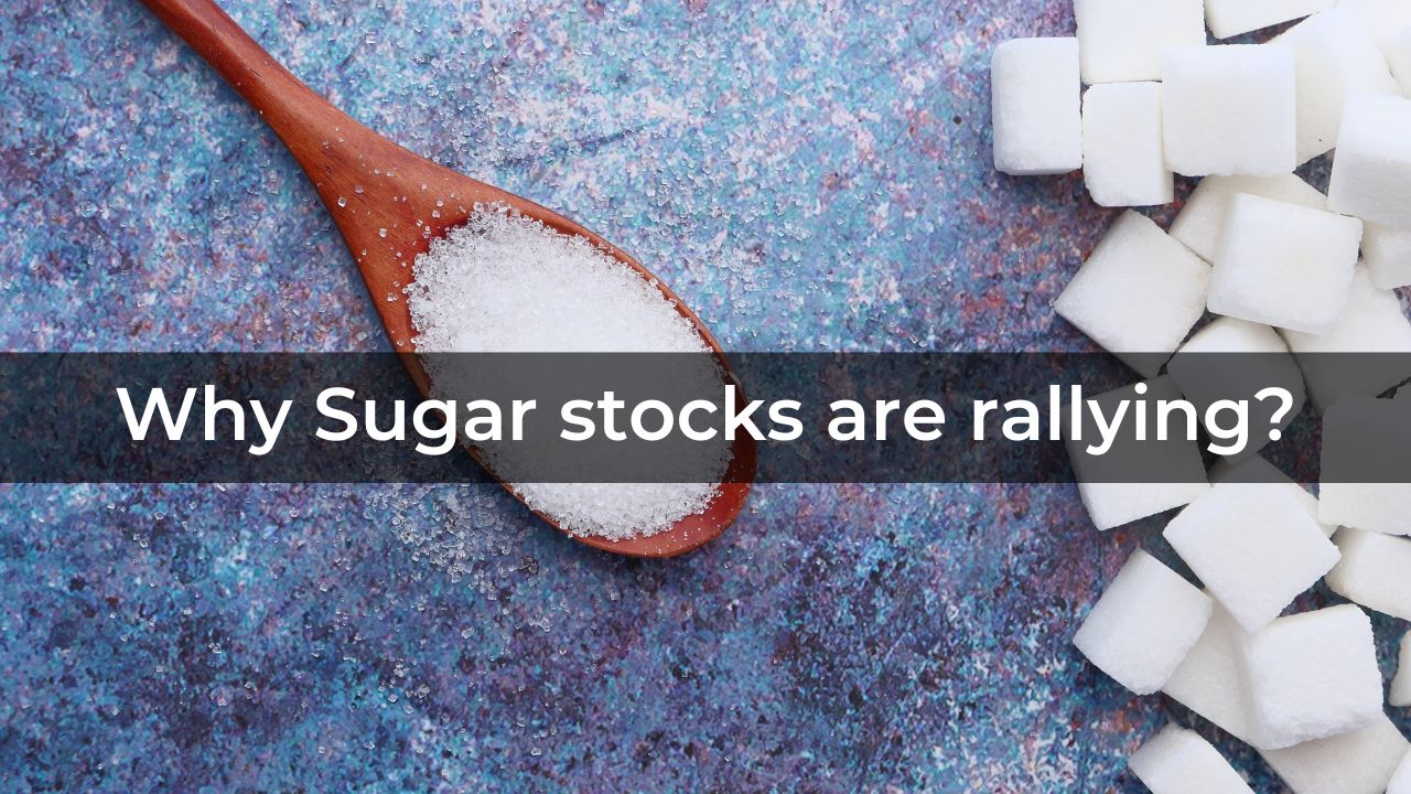 Why have sugar stocks rallied sharply in the markets?