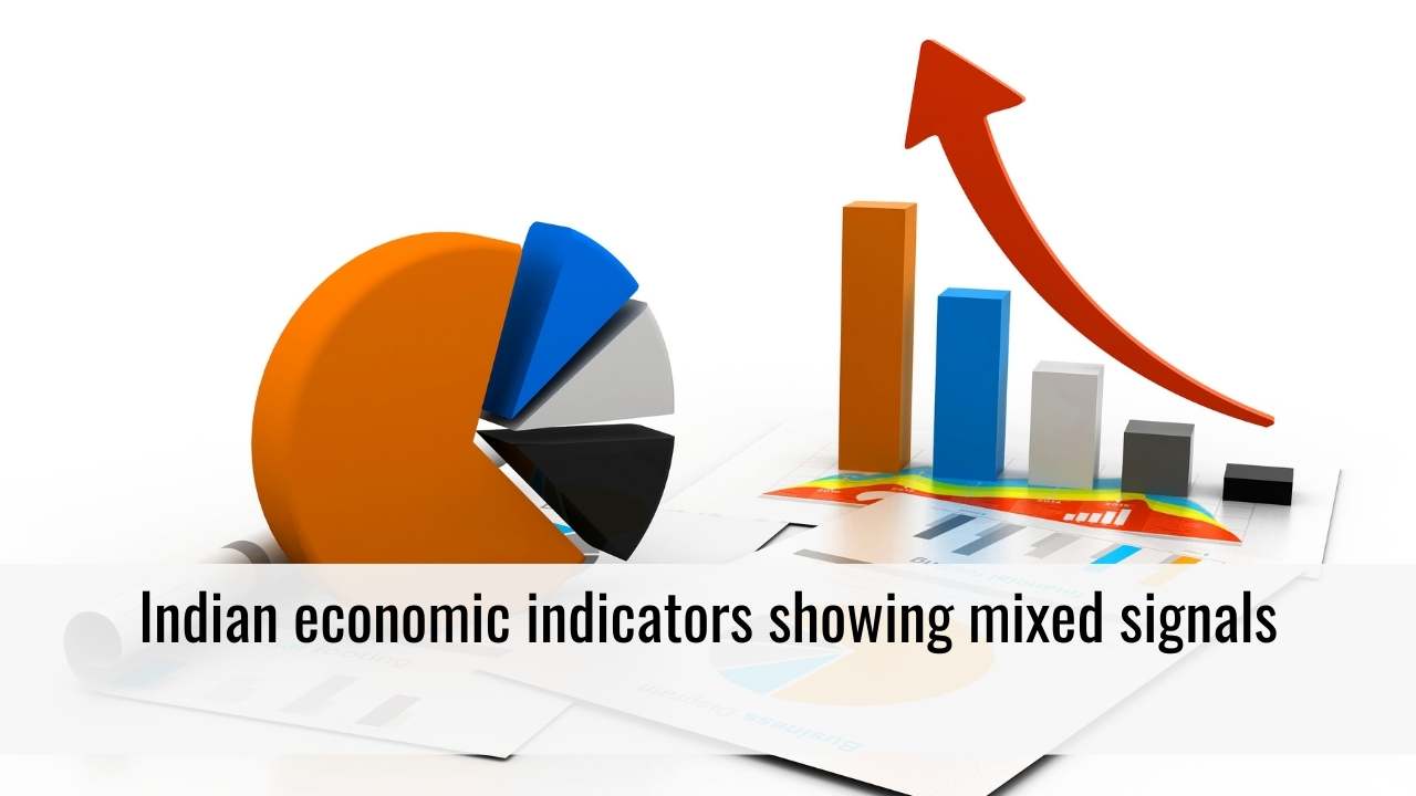 Indian economic indicators showing mixed signals