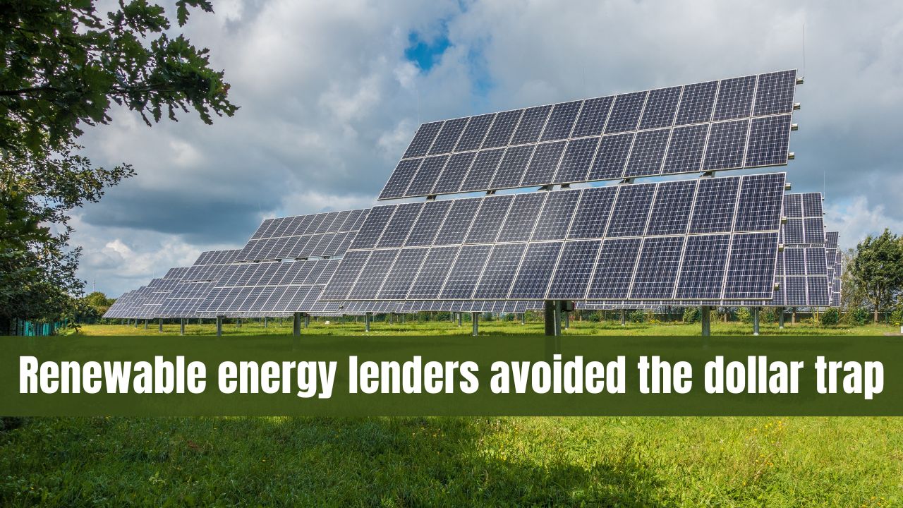 Renewable energy lenders avoided the dollar trap