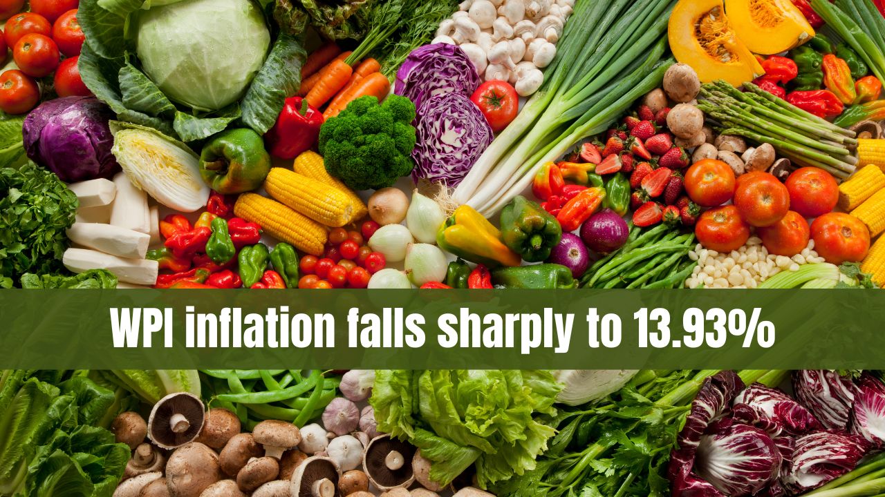 WPI inflation falls sharply to 13.93pc