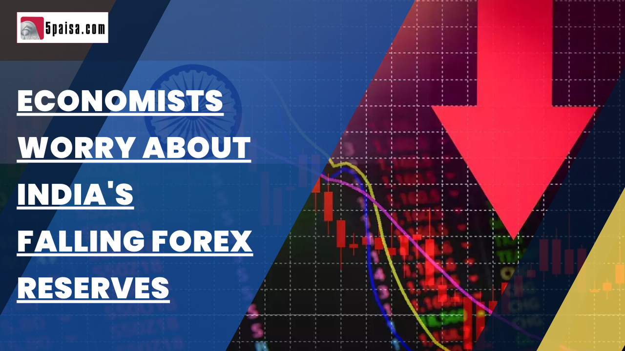 Economists worry about India's falling forex reserves