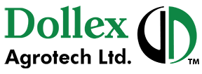 ipo_logo