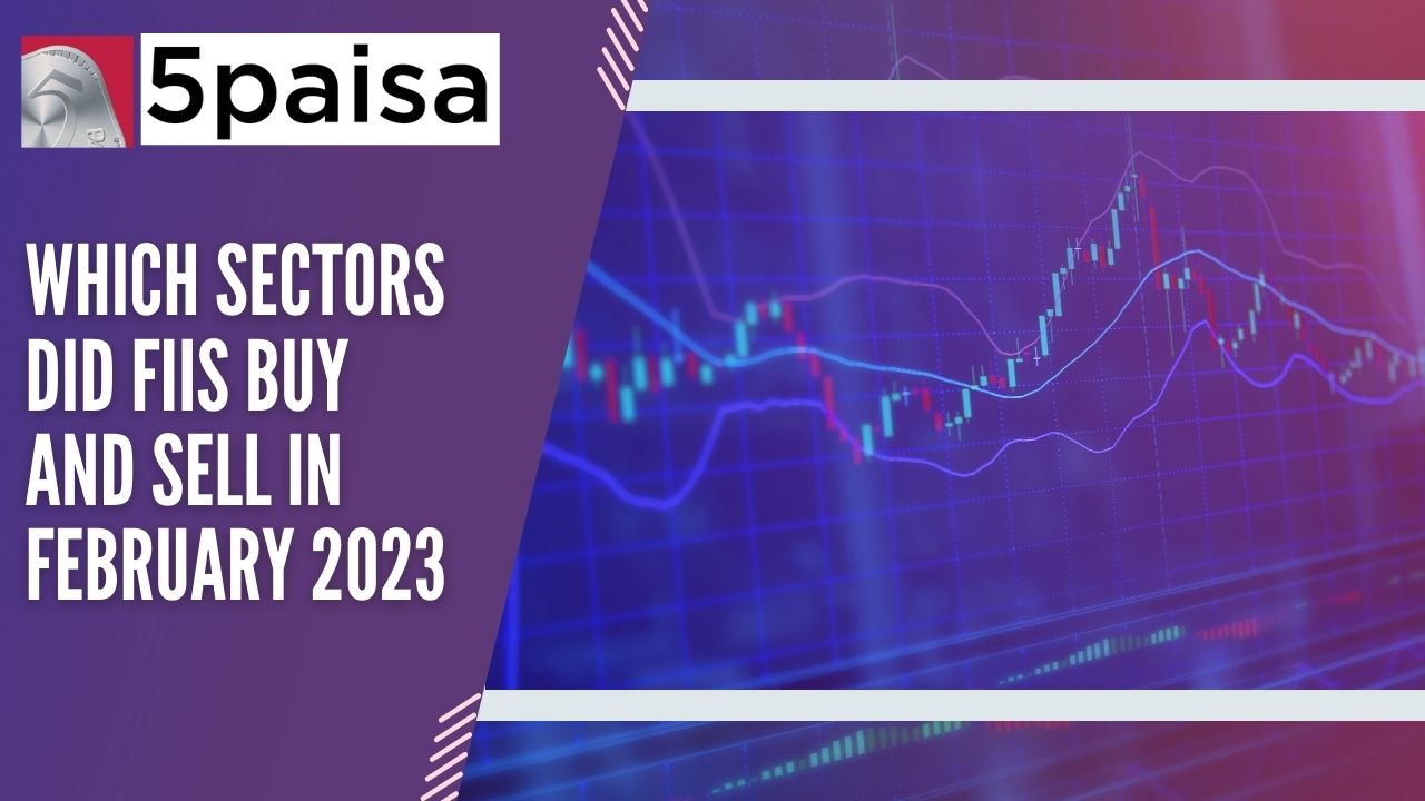 Which sectors did FIIs buy and sell in February 2023