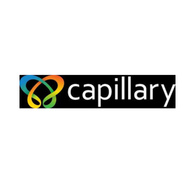 Capillary Technologies India Ltd Logo Capillary Technologies India Ltd Logo