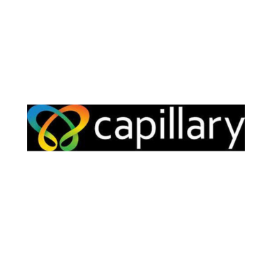 Capillary Technologies India Ltd Logo