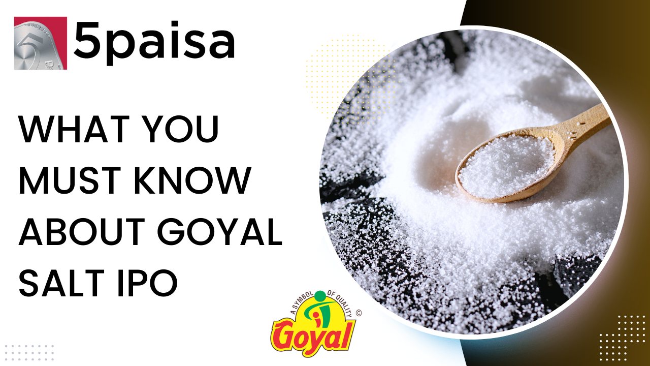 What you must know about Goyal Salt IPO?