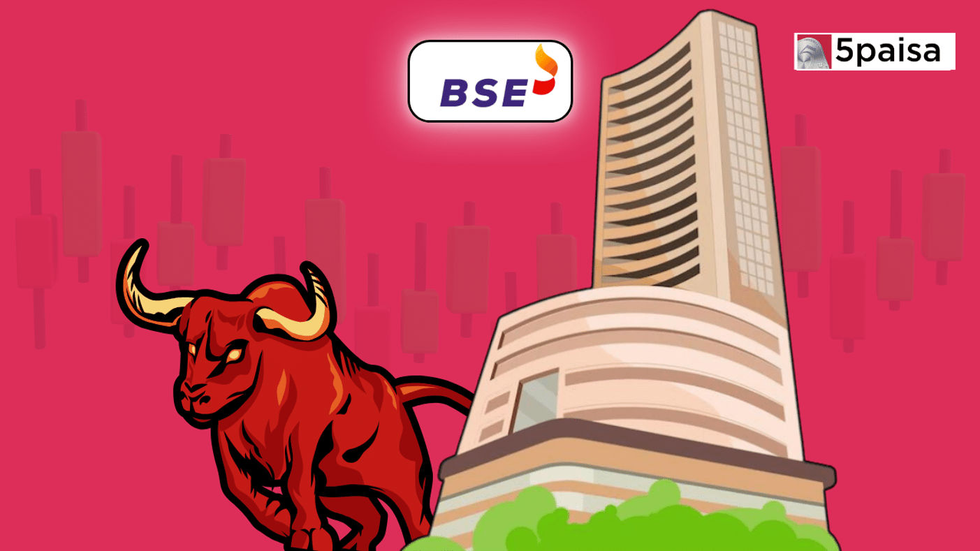 BSE: A Mutlibagger in Making?