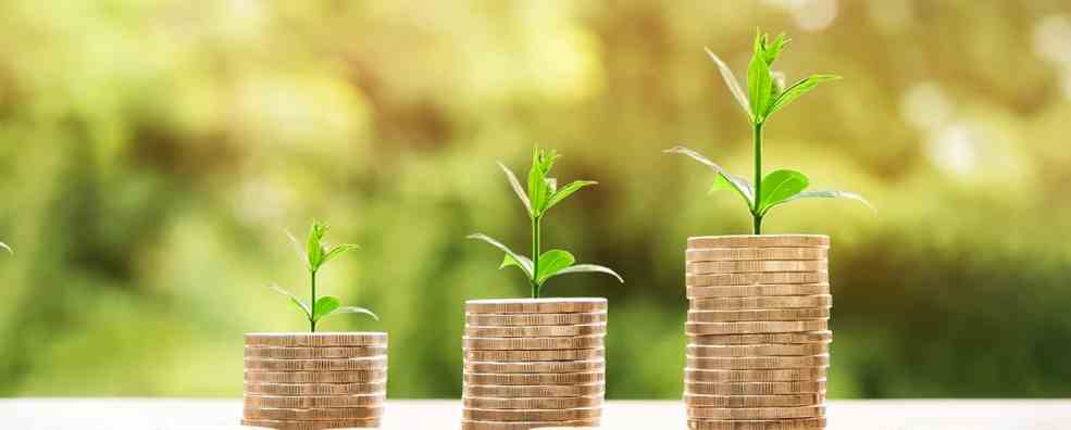 Which is the better investment option: PPF or mutual funds?