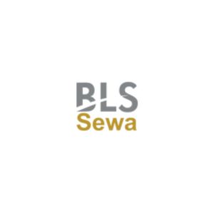 BLS E-Services IPO
