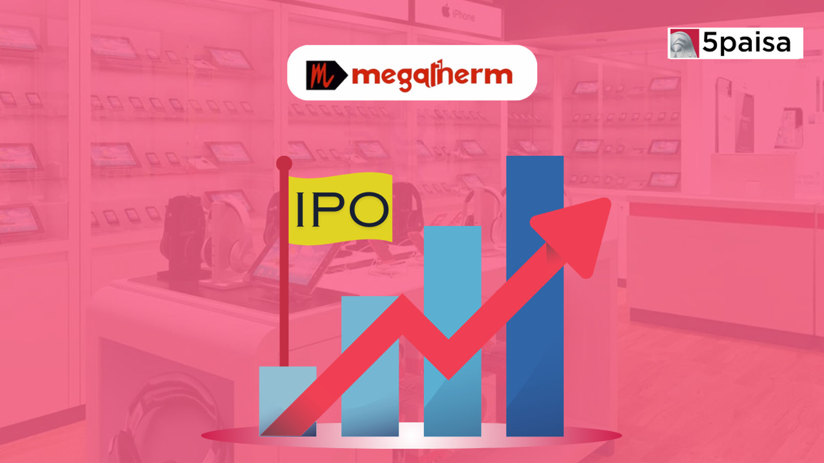 Megatherm Induction IPO Financial Analysis