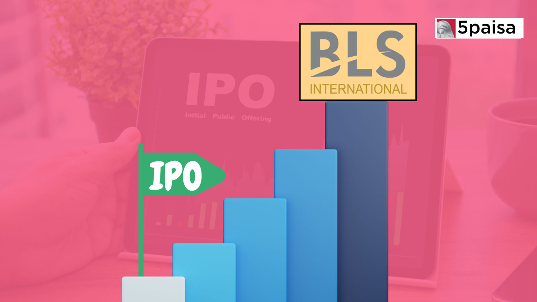 BLS E-Services IPO Financial Analysis