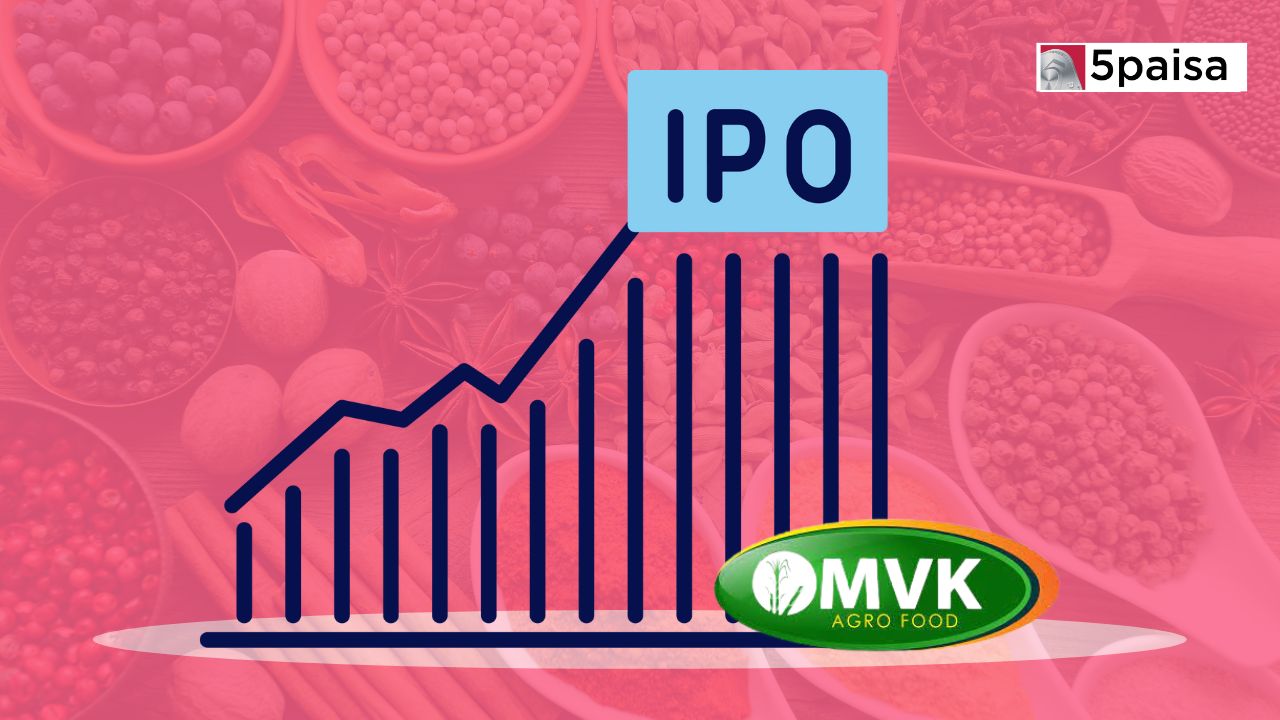 M.V.K. Agro Food IPO Financial Analysis