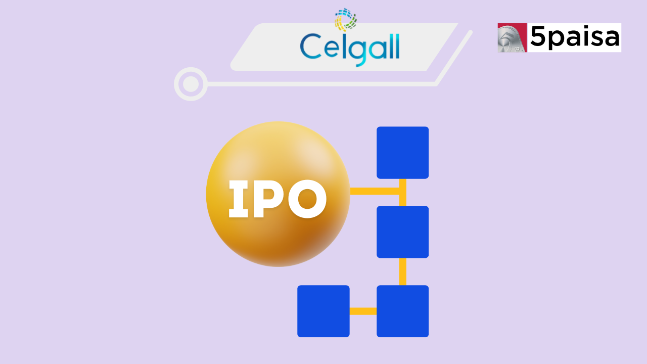 Ceigall India IPO Allotment Status 