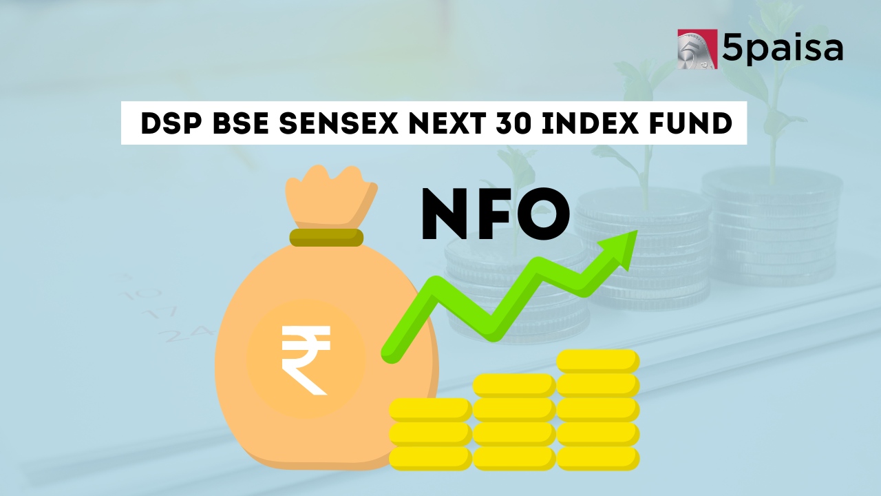 DSP BSE SENSEX Next 30 Index Fund DSP BSE SENSEX Next 30 Index Fund
