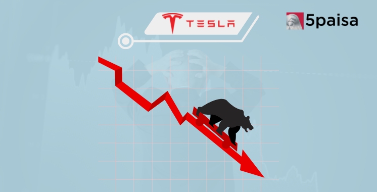 $125 Billion Wiped Out in a Day! Why Tesla Shares Plunged 15% Under Elon Musk