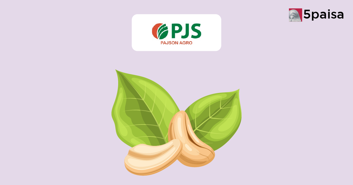 How to Check Pajson Agro India IPO Allotment Status