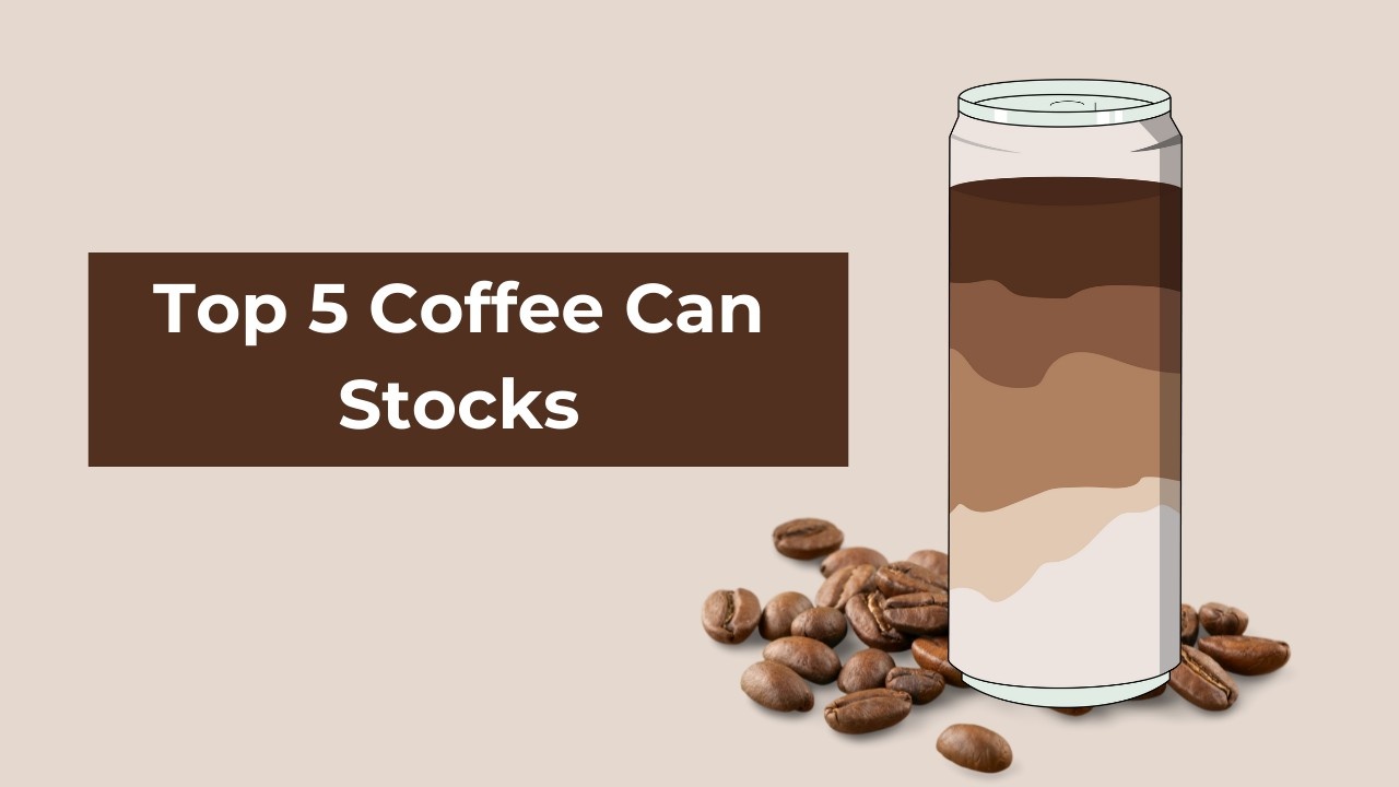 Selected Indian Stocks Aligned with Coffee Can Investing 