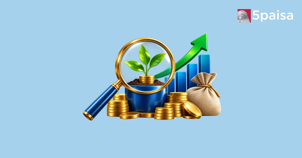 Small Cap Fund