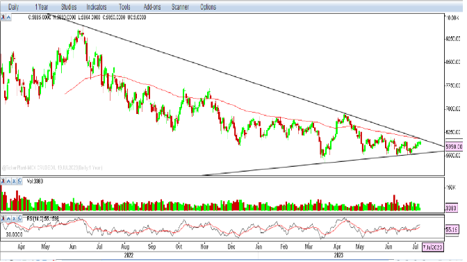 Weekly Outlook on Crude oil - 7 July 2023