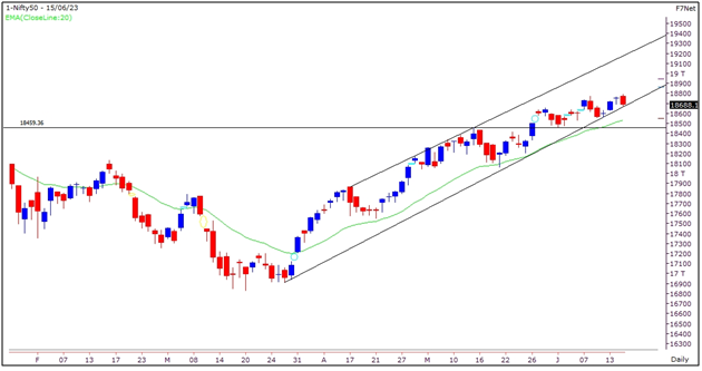 Nifty Graph