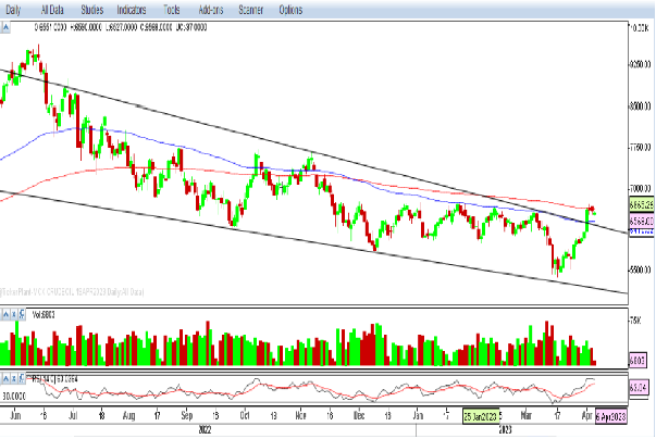 Crude Oil- Weekly Report