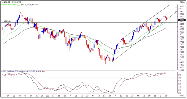 Nifty Graph
