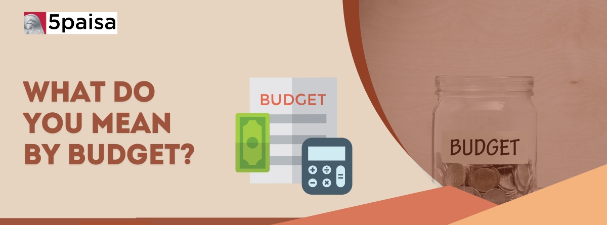 What do you mean by budget? What do you mean by budget?